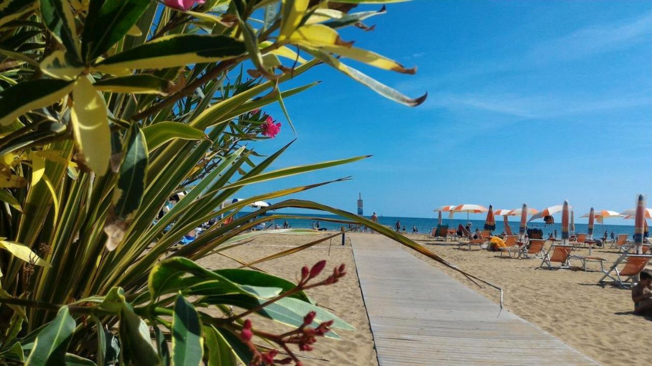 Dogi Sud Bibione